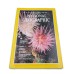 National Geographic April 1980 Glory In Canada's Cold Seas/texas/estonia/oursi